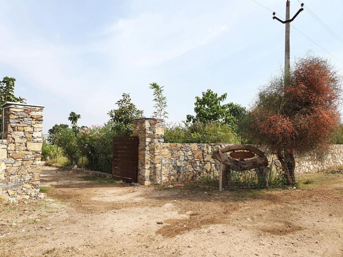 Bijapur Lodge Jawai Buitenkant foto