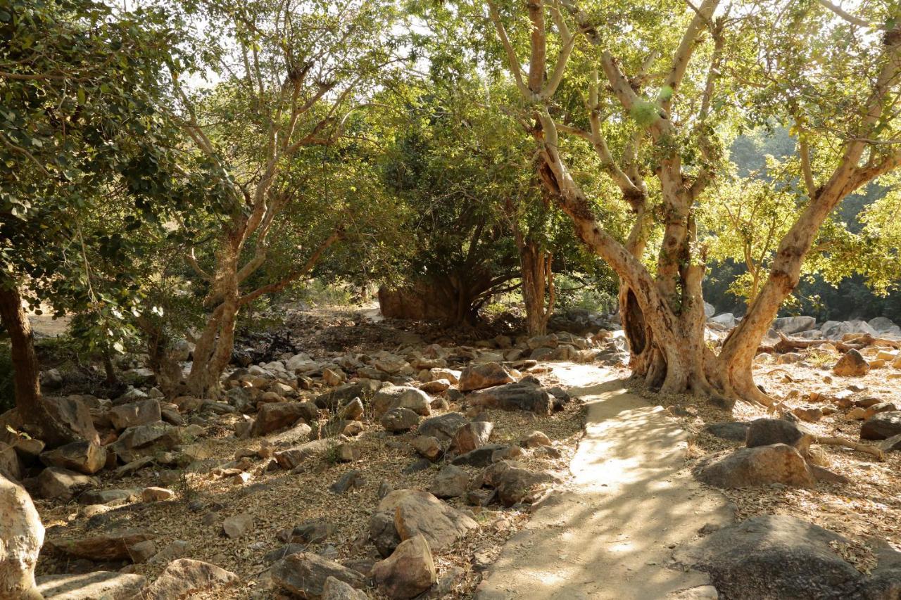 Bijapur Lodge Jawai Buitenkant foto