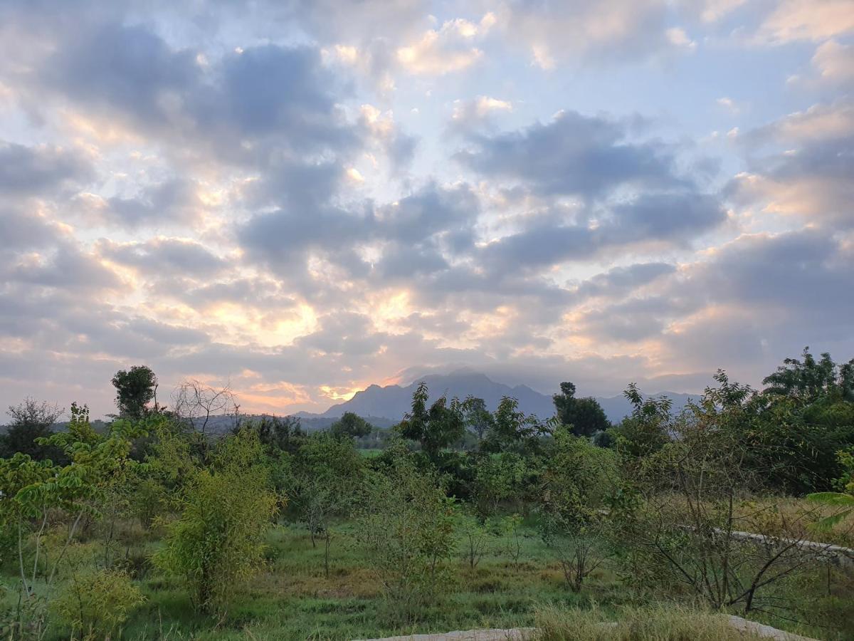 Bijapur Lodge Jawai Buitenkant foto