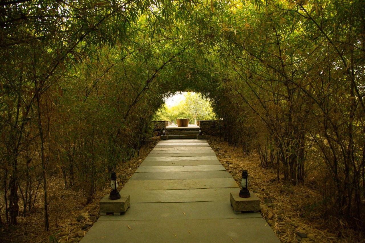 Bijapur Lodge Jawai Buitenkant foto